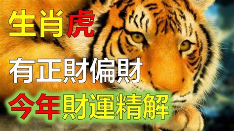 屬虎今日偏財運|今立冬！12生肖11月運勢提醒 屬虎錢財宜守不攻